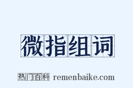 微指组词是什么意思的图片
